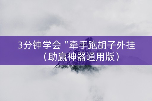3分钟学会“牵手跑胡子外挂（助赢神器通用版）