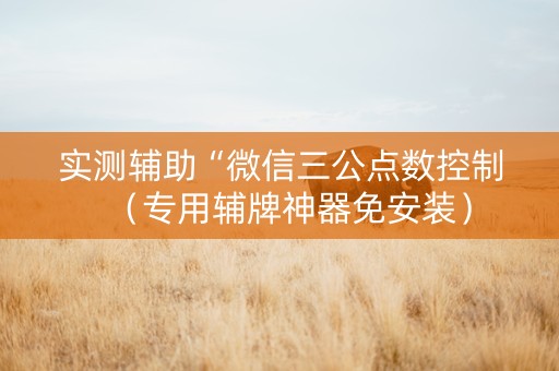 实测辅助“微信三公点数控制（专用辅牌神器免安装）
