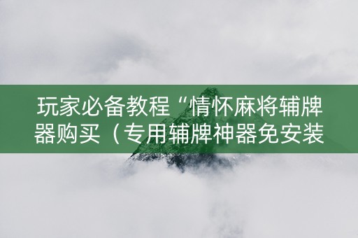 玩家必备教程“情怀麻将辅牌器购买（专用辅牌神器免安装）