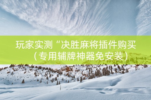 玩家实测“决胜麻将插件购买（专用辅牌神器免安装）