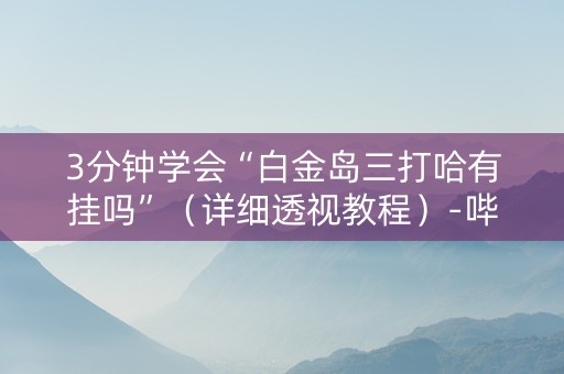 3分钟学会“白金岛三打哈有挂吗”（详细透视教程）-哔哩哔哩