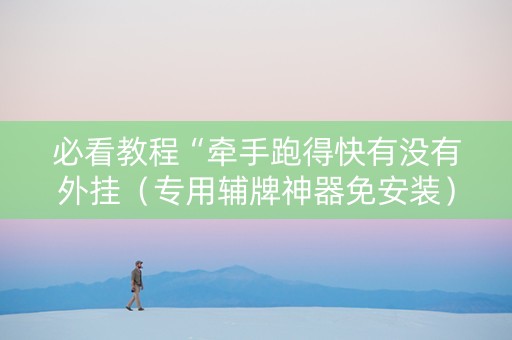 必看教程“牵手跑得快有没有外挂（专用辅牌神器免安装）