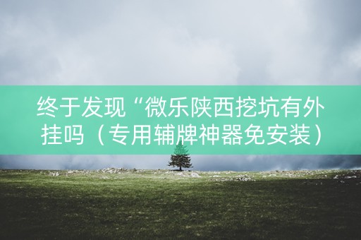 终于发现“微乐陕西挖坑有外挂吗（专用辅牌神器免安装）