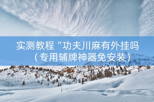 实测教程“功夫川麻有外挂吗（专用辅牌神器免安装）