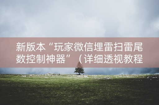 新版本“玩家微信埋雷扫雷尾数控制神器”（详细透视教程）-哔哩哔哩