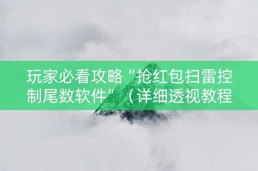 玩家必看攻略“抢红包扫雷控制尾数软件”（详细透视教程）-哔哩哔哩