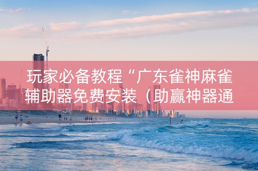 玩家必备教程“广东雀神麻雀辅助器免费安装（助赢神器通用版）