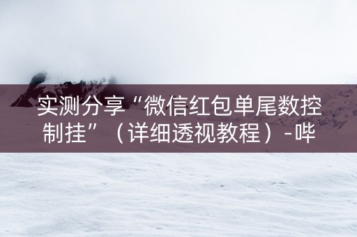 实测分享“微信红包单尾数控制挂”（详细透视教程）-哔哩哔哩