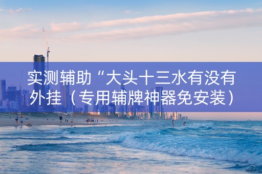 实测辅助“大头十三水有没有外挂（专用辅牌神器免安装）