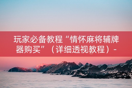 玩家必备教程“情怀麻将辅牌器购买”（详细透视教程）-哔哩哔哩