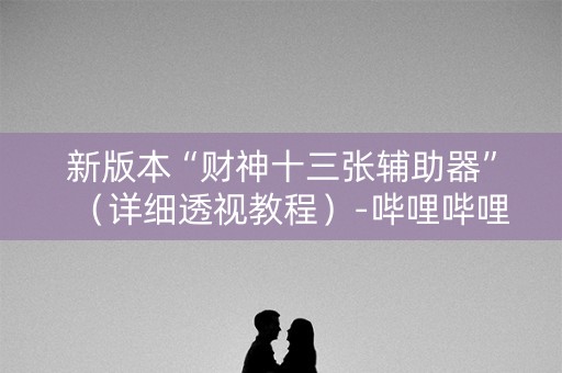 新版本“财神十三张辅助器”（详细透视教程）-哔哩哔哩