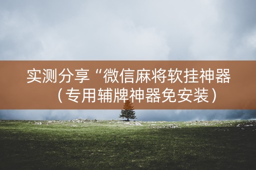实测分享“微信麻将软挂神器（专用辅牌神器免安装）