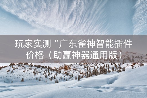 玩家实测“广东雀神智能插件价格（助赢神器通用版）