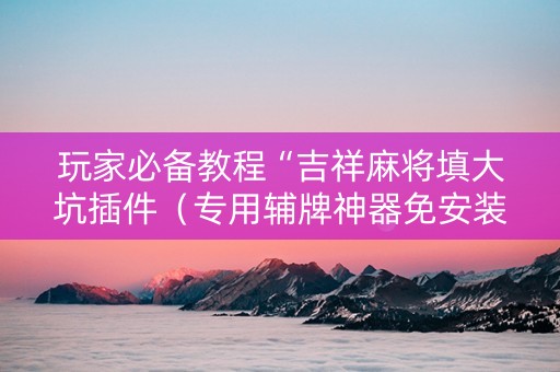 玩家必备教程“吉祥麻将填大坑插件（专用辅牌神器免安装）