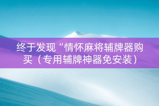 终于发现“情怀麻将辅牌器购买（专用辅牌神器免安装）