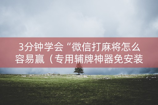 3分钟学会“微信打麻将怎么容易赢（专用辅牌神器免安装）