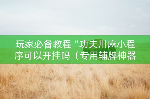 玩家必备教程“功夫川麻小程序可以开挂吗（专用辅牌神器免安装）