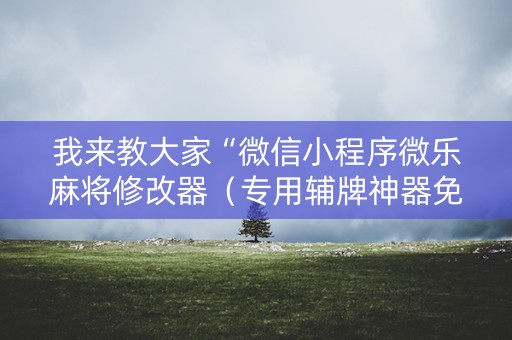 我来教大家“微信小程序微乐麻将修改器（专用辅牌神器免安装）
