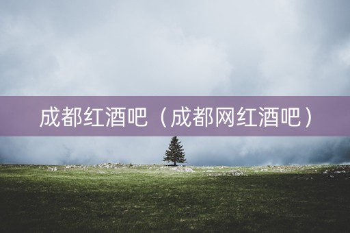成都红酒吧（成都网红酒吧）