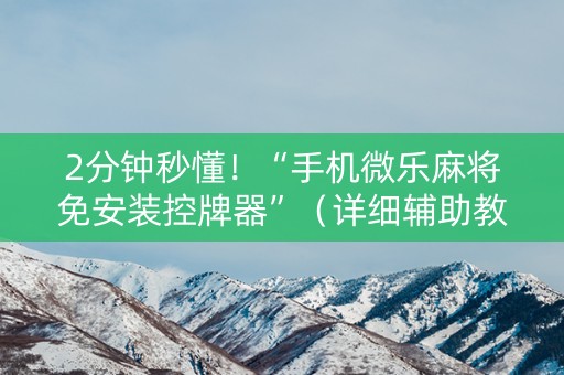 2分钟秒懂！“手机微乐麻将免安装控牌器”（详细辅助教程）-哔哩哔哩