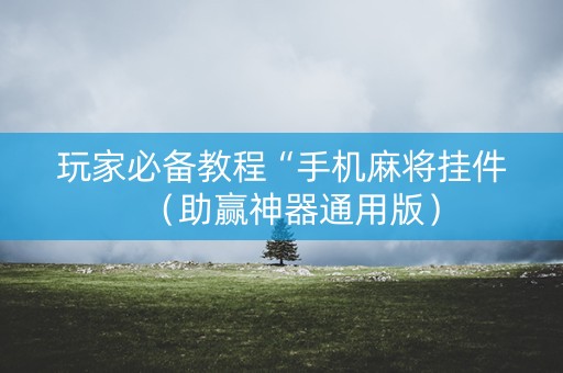 玩家必备教程“手机麻将挂件（助赢神器通用版）