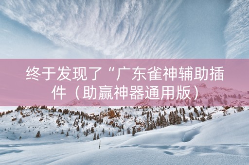 终于发现了“广东雀神辅助插件（助赢神器通用版）