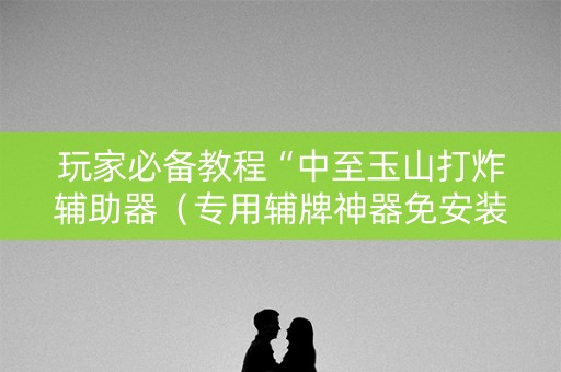 玩家必备教程“中至玉山打炸辅助器（专用辅牌神器免安装）
