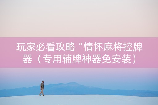 玩家必看攻略“情怀麻将控牌器（专用辅牌神器免安装）