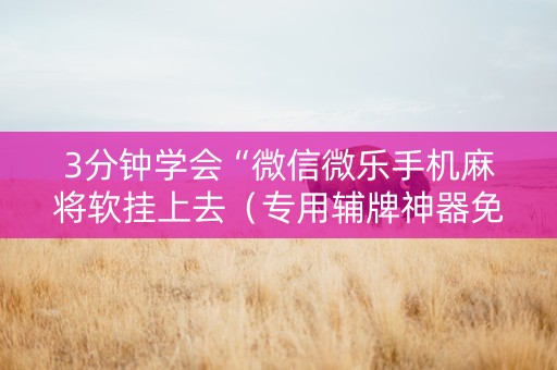 3分钟学会“微信微乐手机麻将软挂上去（专用辅牌神器免安装）