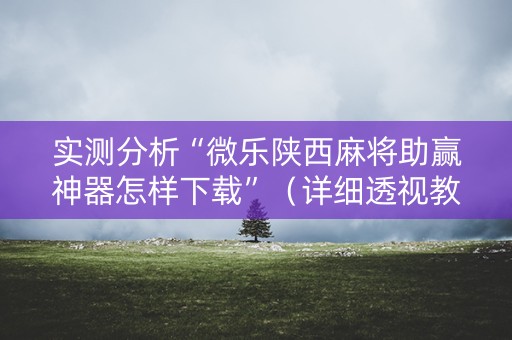 实测分析“微乐陕西麻将助赢神器怎样下载”（详细透视教程）-哔哩哔哩