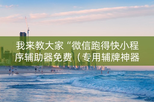 我来教大家“微信跑得快小程序辅助器免费（专用辅牌神器免安装）