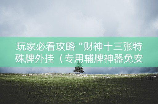 玩家必看攻略“财神十三张特殊牌外挂（专用辅牌神器免安装）
