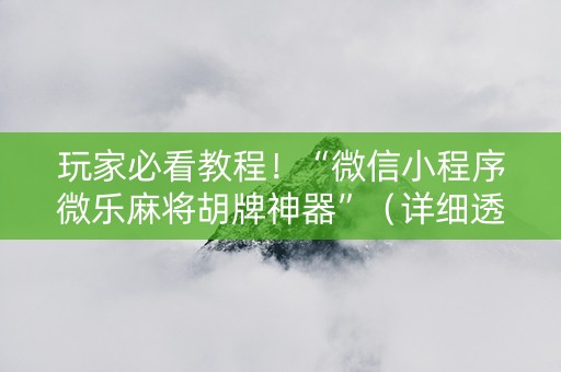 玩家必看教程！“微信小程序微乐麻将胡牌神器”（详细透视教程）-哔哩哔哩