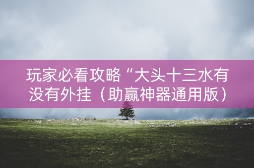 玩家必看攻略“大头十三水有没有外挂（助赢神器通用版）