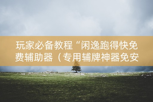 玩家必备教程“闲逸跑得快免费辅助器（专用辅牌神器免安装）