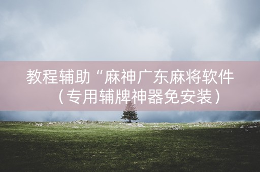 教程辅助“麻神广东麻将软件（专用辅牌神器免安装）