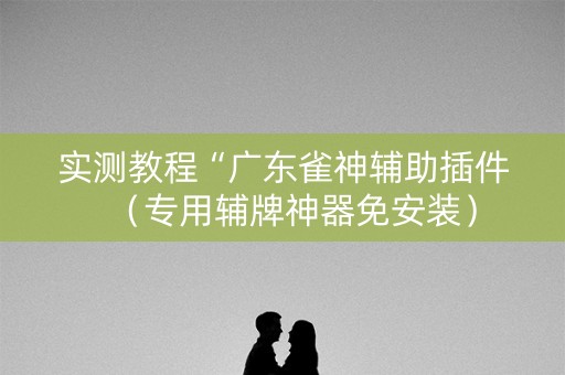 实测教程“广东雀神辅助插件（专用辅牌神器免安装）