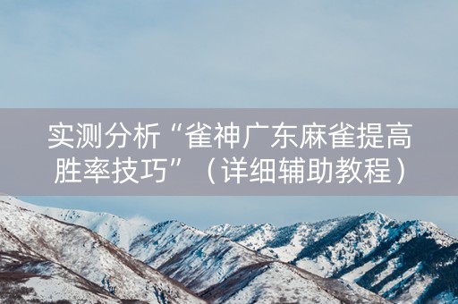 实测分析“雀神广东麻雀提高胜率技巧”（详细辅助教程）-哔哩哔哩