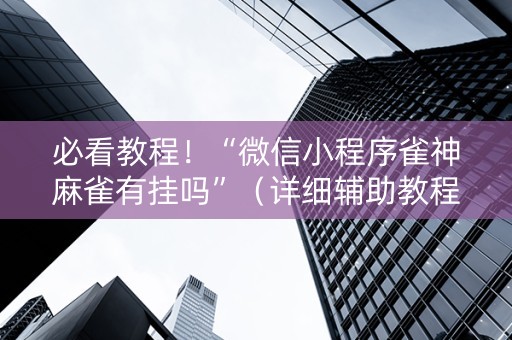 必看教程！“微信小程序雀神麻雀有挂吗”（详细辅助教程）-哔哩哔哩