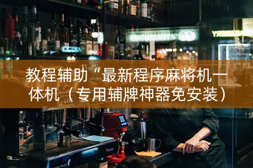 教程辅助“最新程序麻将机一体机（专用辅牌神器免安装）