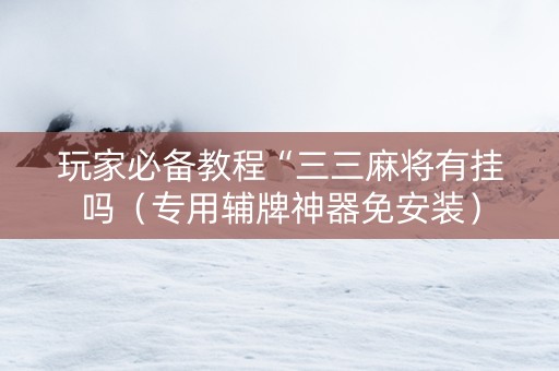 玩家必备教程“三三麻将有挂吗（专用辅牌神器免安装）