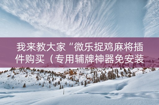 我来教大家“微乐捉鸡麻将插件购买（专用辅牌神器免安装）