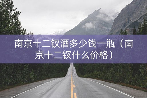 南京十二钗酒多少钱一瓶（南京十二钗什么价格）