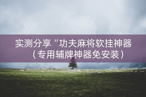实测分享“功夫麻将软挂神器（专用辅牌神器免安装）