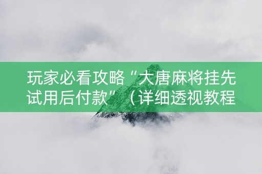 玩家必看攻略“大唐麻将挂先试用后付款”（详细透视教程）-哔哩哔哩