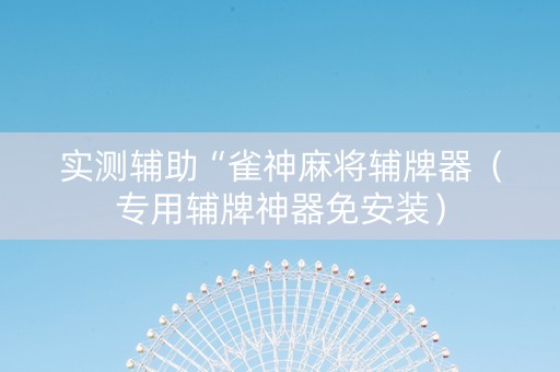 实测辅助“雀神麻将辅牌器（专用辅牌神器免安装）