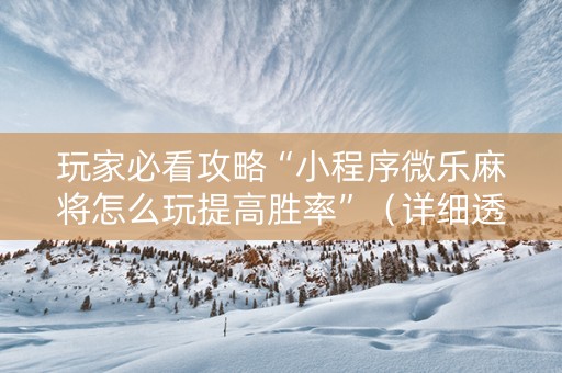 玩家必看攻略“小程序微乐麻将怎么玩提高胜率”（详细透视教程）-哔哩哔哩