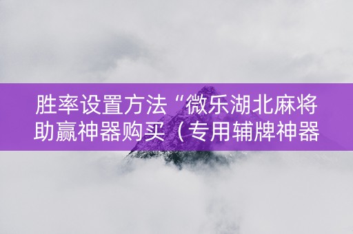 胜率设置方法“微乐湖北麻将助赢神器购买（专用辅牌神器免安装）
