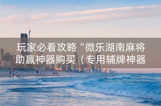 玩家必看攻略“微乐湖南麻将助赢神器购买（专用辅牌神器免安装）