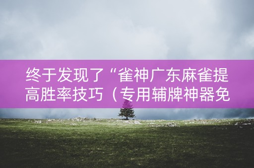 终于发现了“雀神广东麻雀提高胜率技巧（专用辅牌神器免安装）